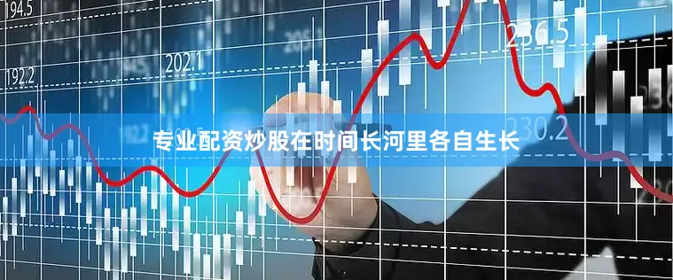 专业配资炒股在时间长河里各自生长