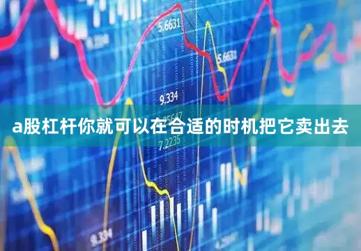 a股杠杆你就可以在合适的时机把它卖出去
