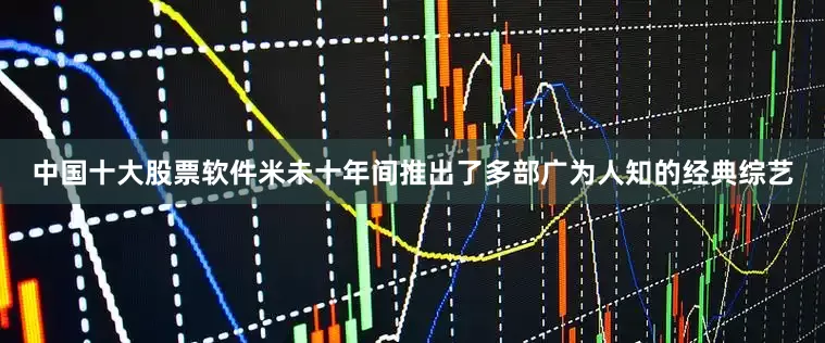 中国十大股票软件米未十年间推出了多部广为人知的经典综艺